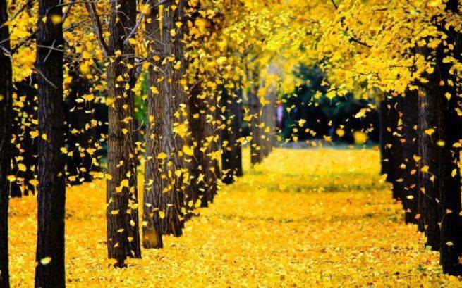 春秋类手机游戏_春秋类手机游戏推荐_春秋类手机游戏有哪些