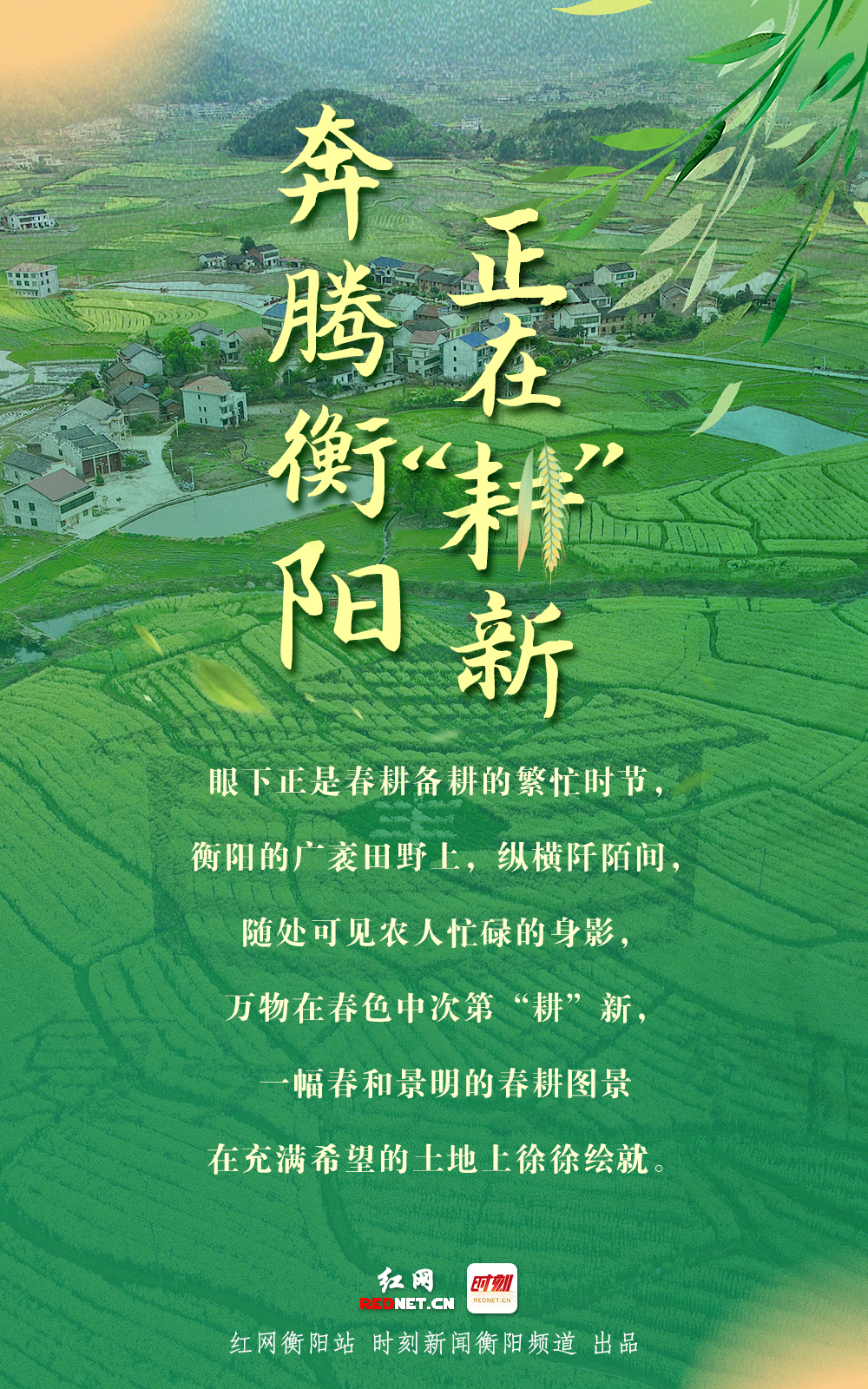 阴阳师周年庆是哪天2022_阴阳师周年庆式神预测_周年庆阴阳师时间