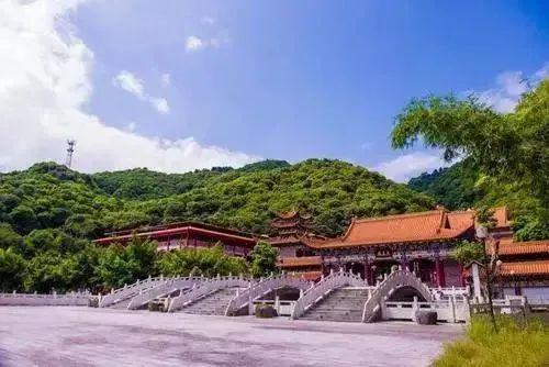 不夜城手机怎么样_不夜城手机游戏耳机_不夜城是什么游戏