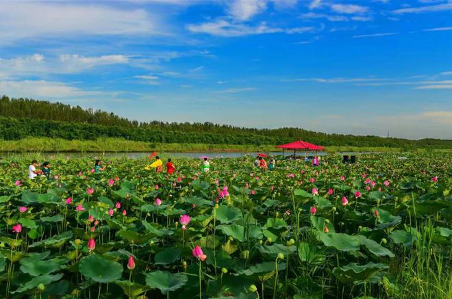不夜城是什么游戏_不夜城手机怎么样_不夜城手机游戏耳机