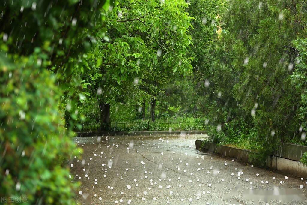 黄梅时节打一个字_时节黄梅雨_黄梅时节