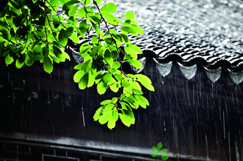 黄梅时节_时节黄梅雨_黄梅时节打一个字