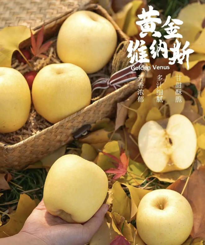 官网苹果序列号查询官网入口_苹果13官网_官网苹果手机