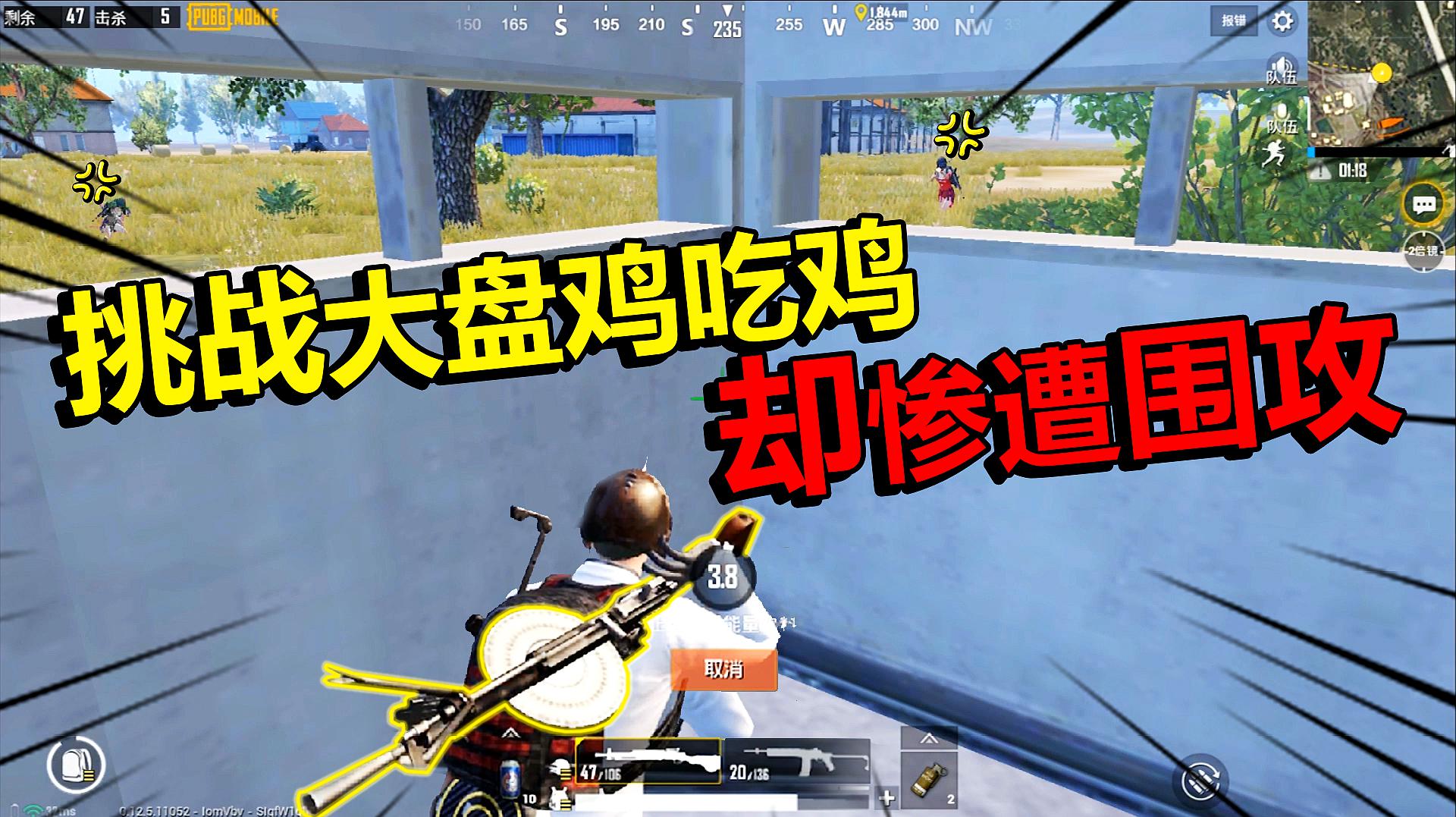 吃鸡游戏是用什么玩的手机_小鸡吃鸡_吃鸡游戏中鸡有什么用