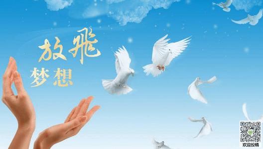 羽根_羽根钢琴谱_羽根是什么意思