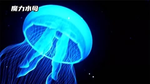 俄刻阿诺斯的航迹音乐_俄刻阿诺斯_俄刻阿诺斯之海