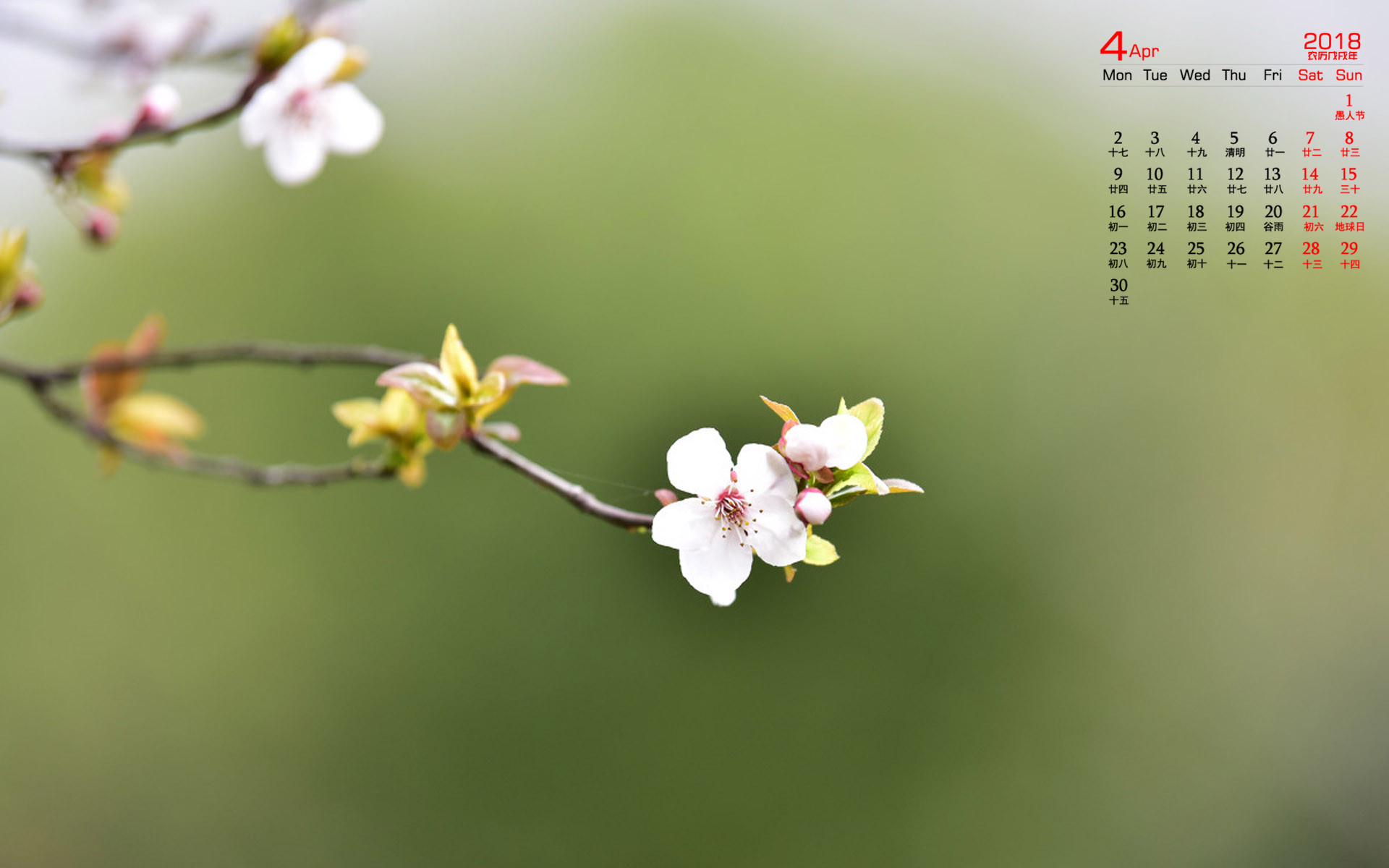 2023年4月日历表图片_日历表图片2020_日历表图片2021年