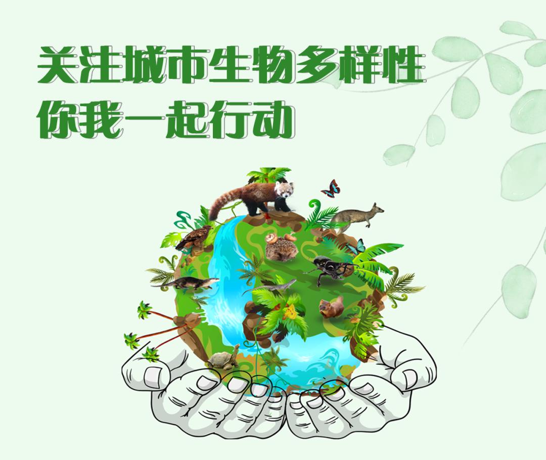 2032电池尺寸_2032_2032纽扣电池