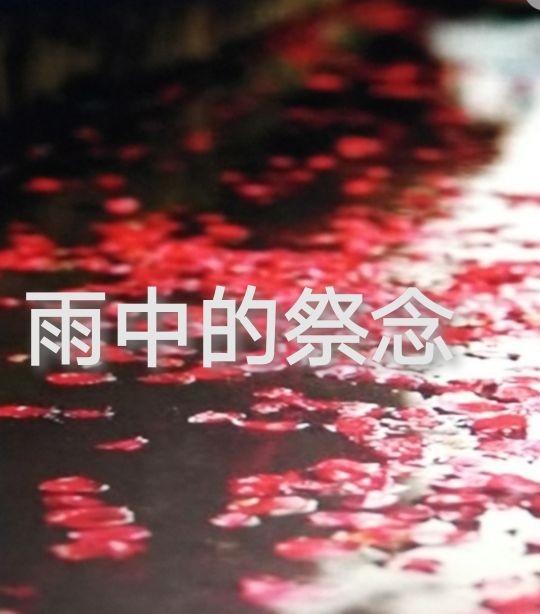 沐雨橙风_沐雨橙风出自哪个诗句_沐雨橙风是什么意思来的