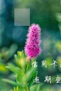 工商取消短信提醒银行卡绑定_取消工商银行卡的短信提醒业务_工商银行短信提醒怎么取消