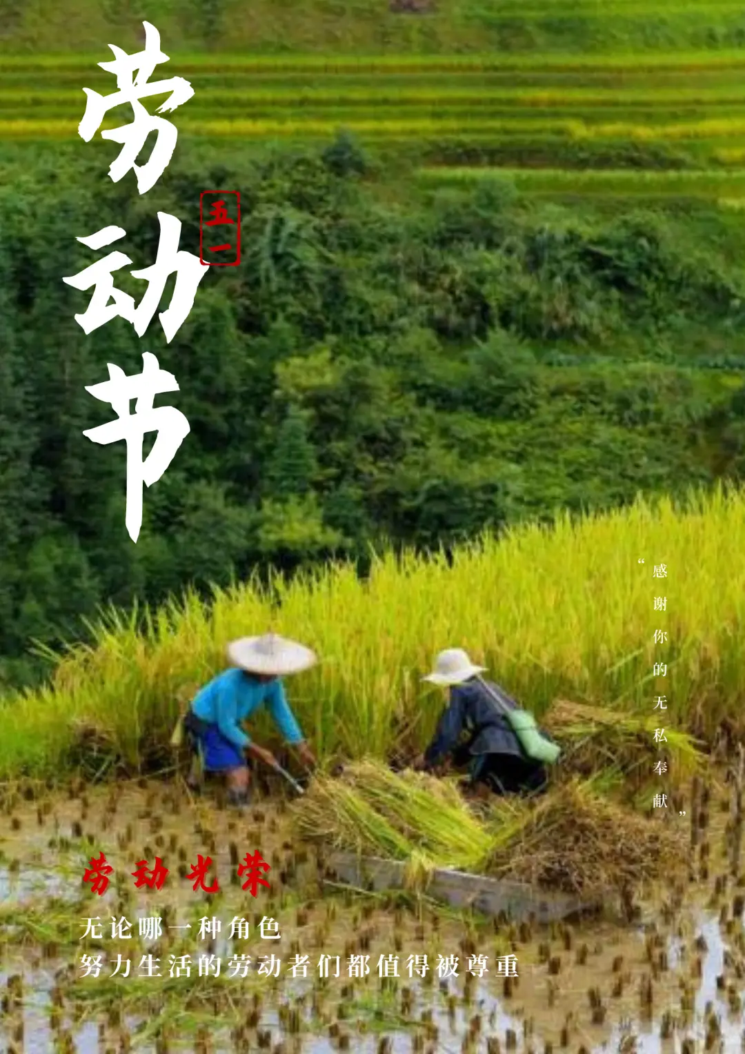 劳动节翻译_翻译劳动节快乐_翻译劳动节的手抄报怎么画