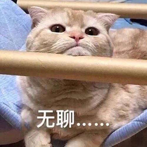 无聊世界男主和谁在一起了_没有黄金段子的无聊世界_世界无聊日