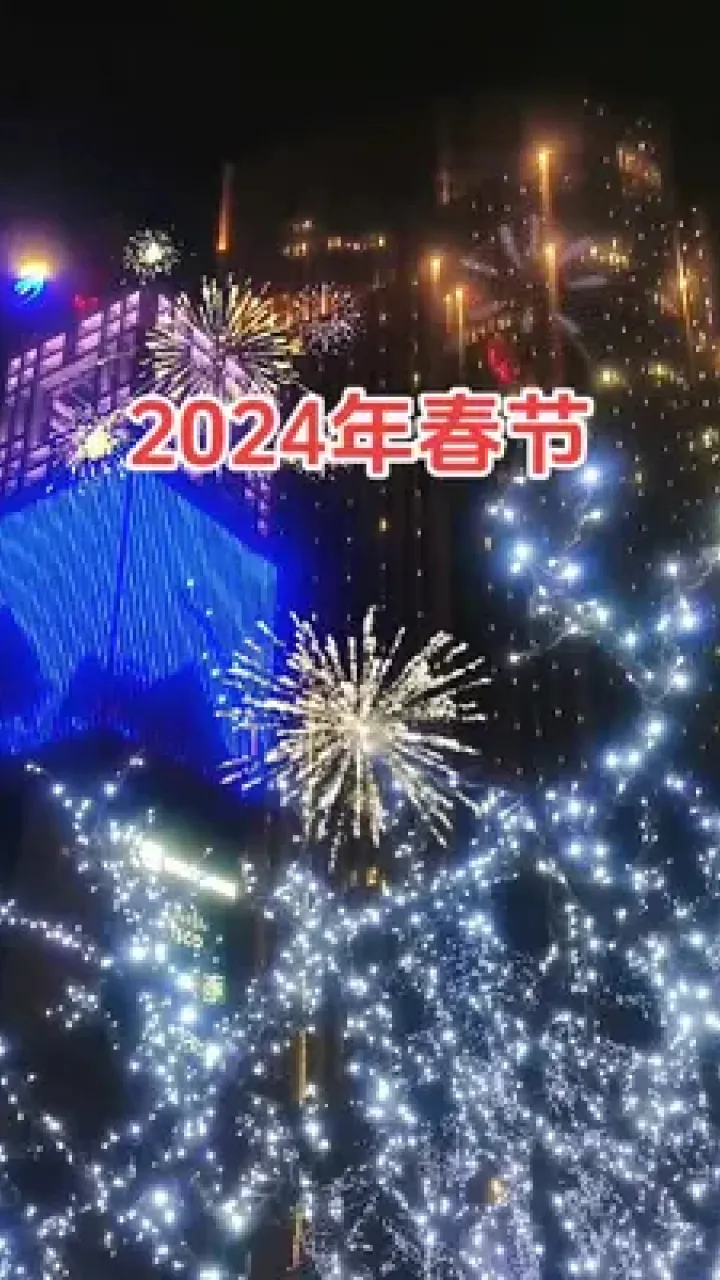 春节年货_春节年画_2024年春节