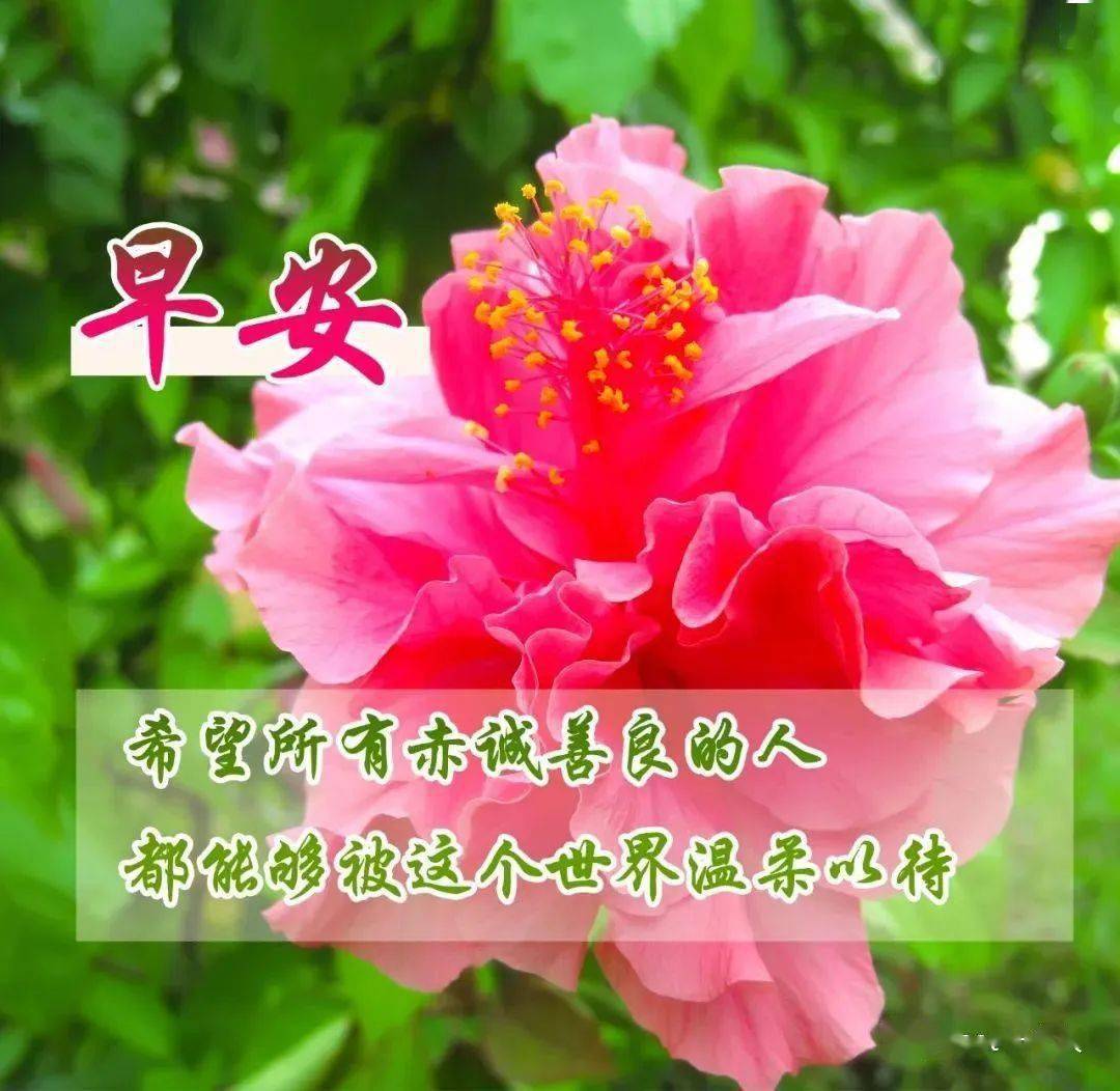乙骨忧太在动漫第几集出现_乙是多少分_早乙