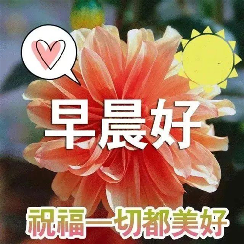 乙是多少分_乙骨忧太在动漫第几集出现_早乙