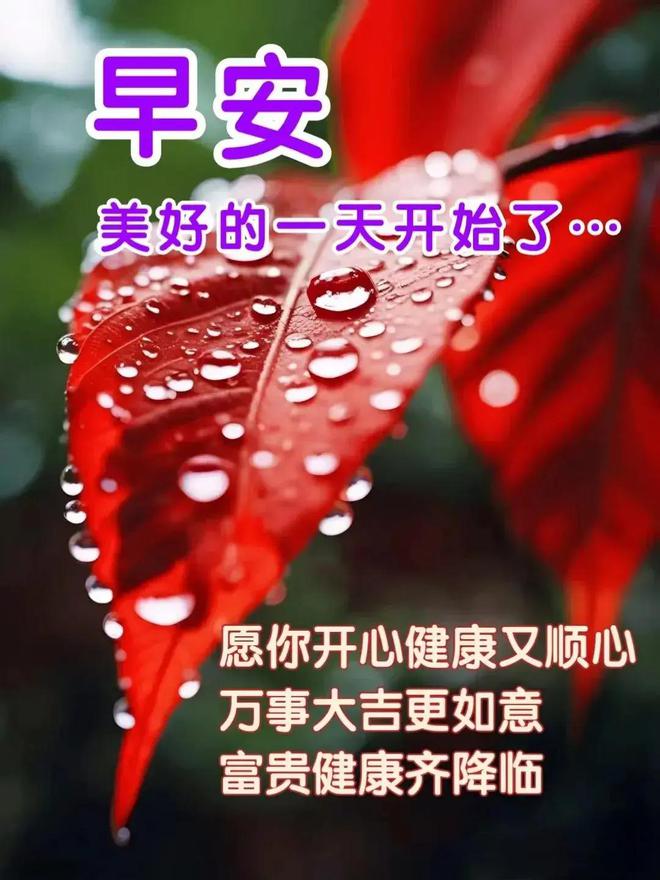 奥冬兰兰微博_奥冬兰兰_奥冬兰兰为什么不更新了