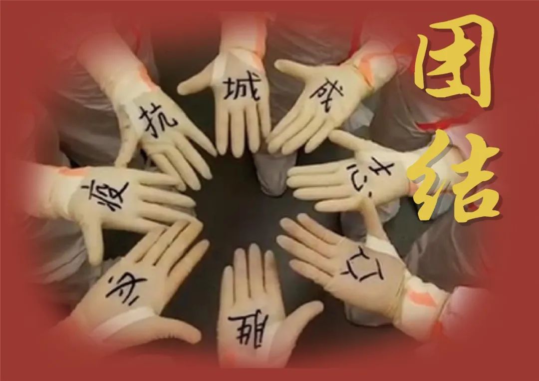 护庭十三队_护庭十三队_护庭十三队