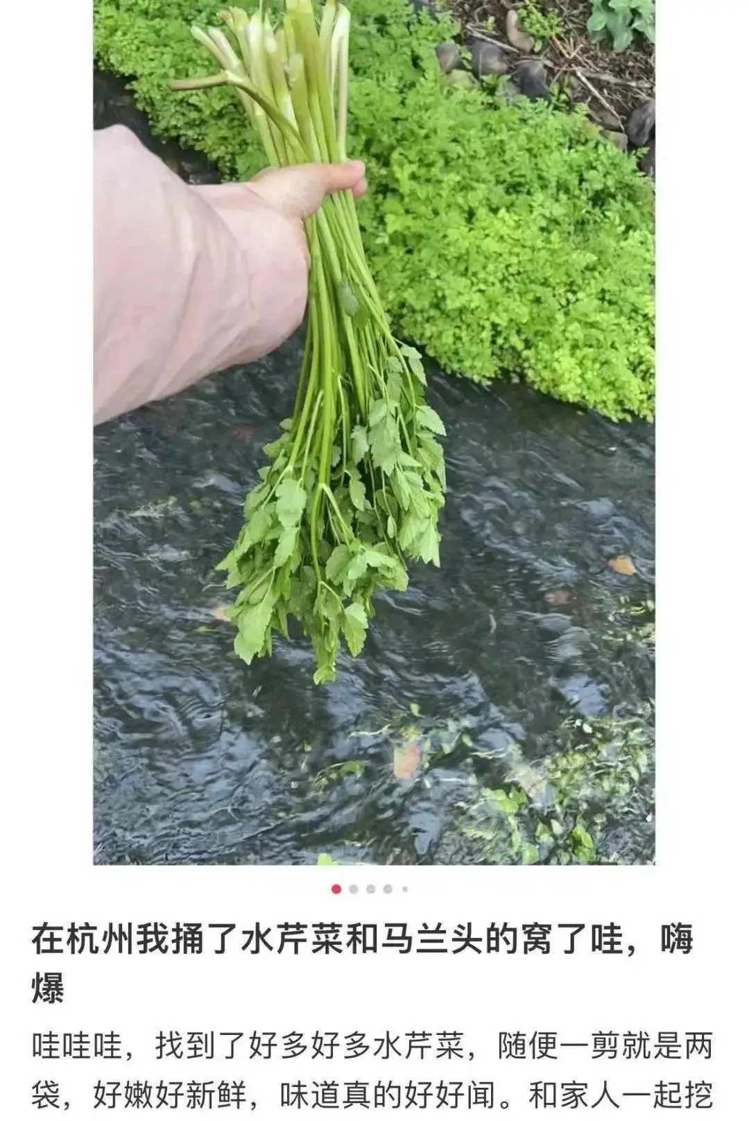 转账到银行卡自动退回_转账自动退款有提示吗_转账不收多久自动退回