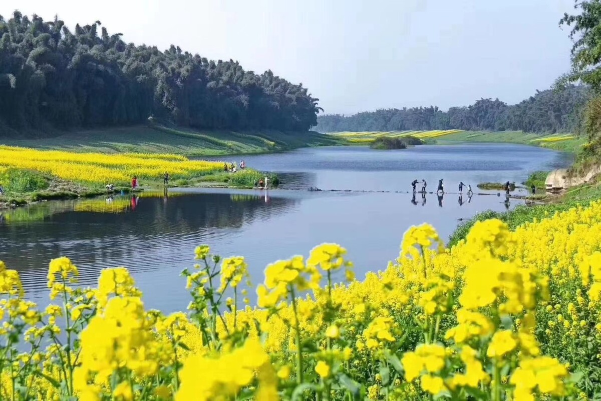 成都亚美地岛_前岛亚美_市岛亚美