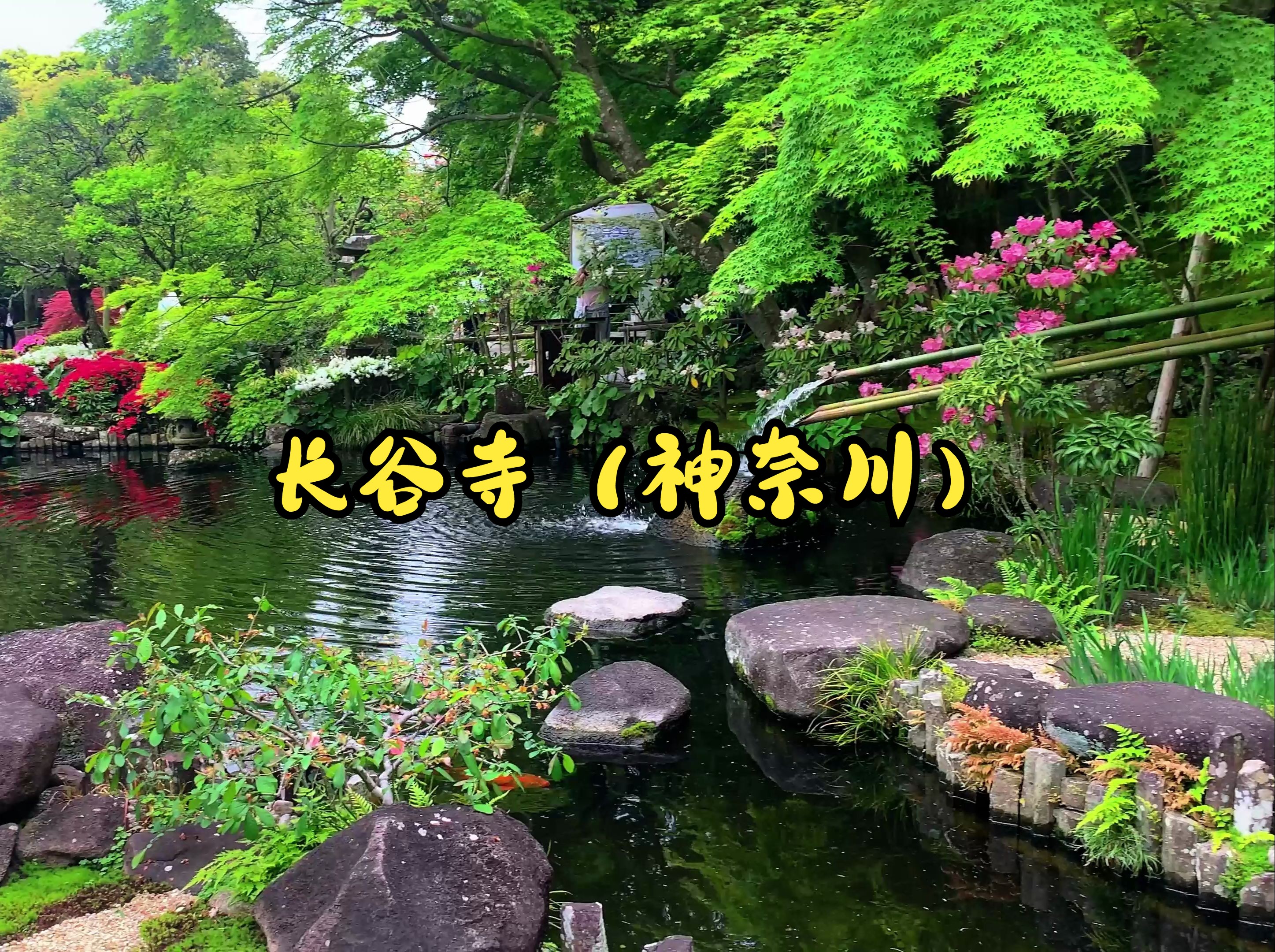 镰仓物语彩蛋_镰仓物语多长时间_镰仓物语