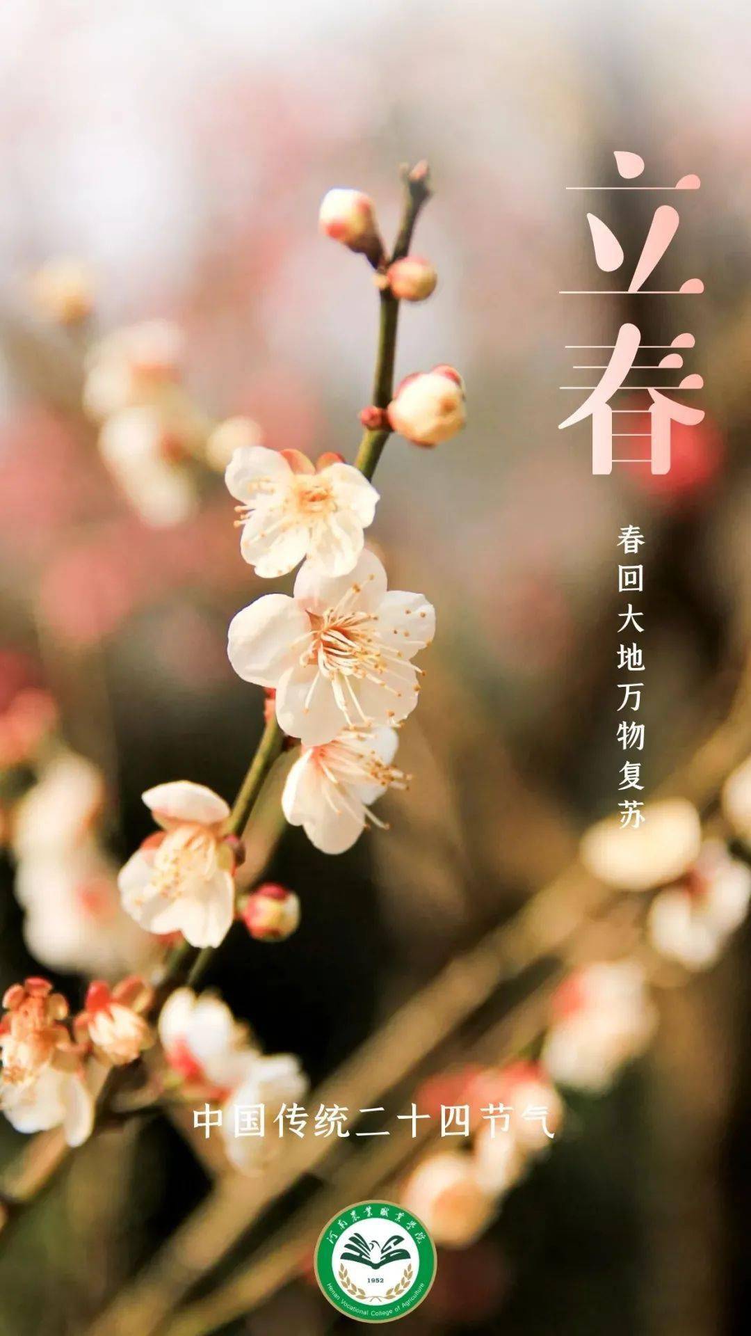 立春是一月_立春是几月几号左右_立春是几月几号