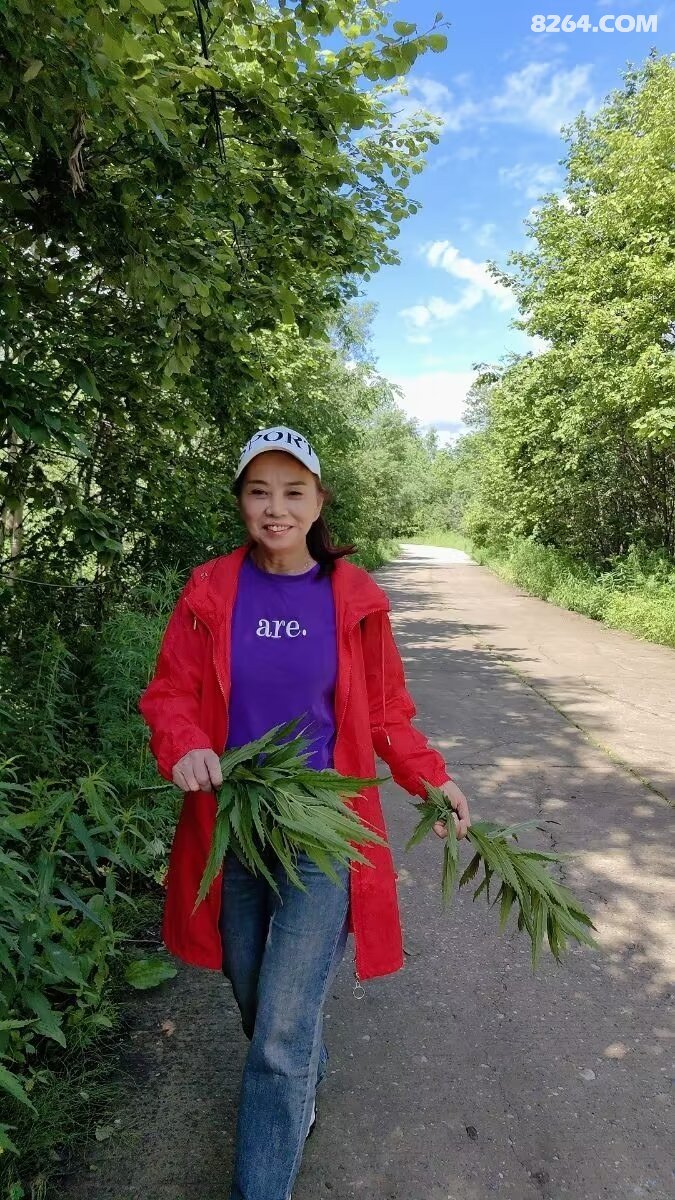 要塞下载_要塞游戏视频_喋血要塞手机游戏版