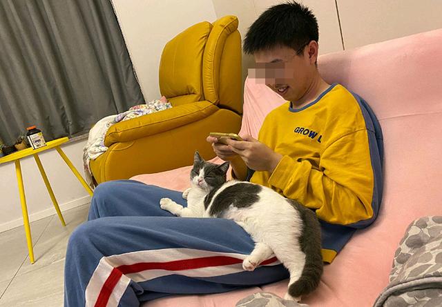 宝宝在手机上玩游戏图片_宝宝玩手机的图片_宝宝玩游戏卡通图片