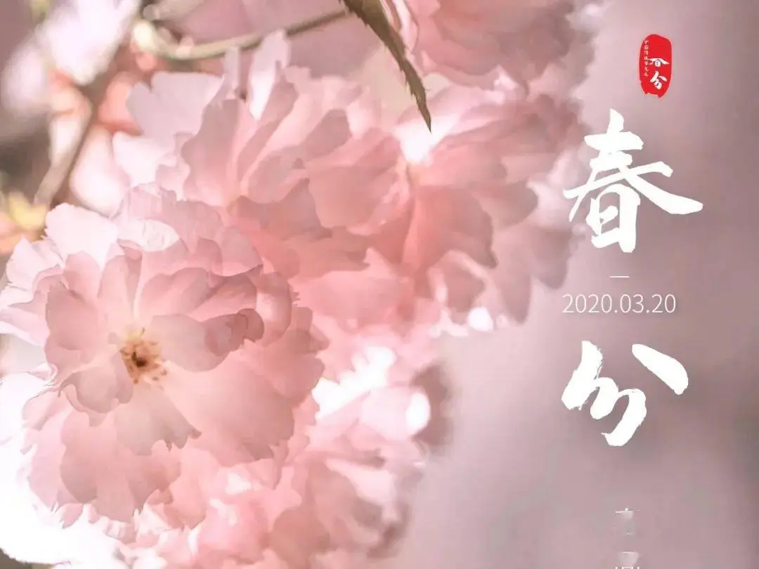 春分2022年什么时间_春分2022的几月几日_2022春分