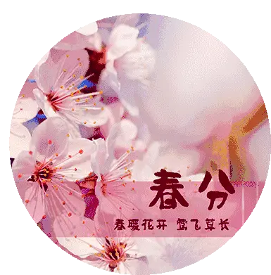 春分2022的几月几日_2022春分_春分2022年什么时间