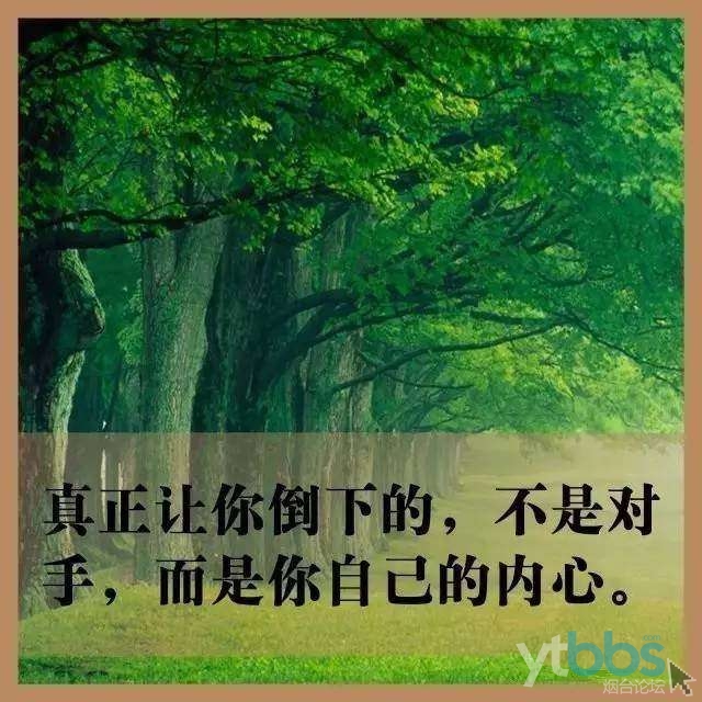 缬沙坦氨氯地平片的功效与作用_结天下有识之士_天结