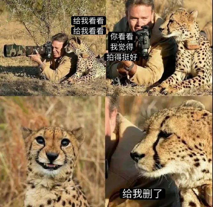 大全手机游戏暴笑游戏_暴笑手机游戏大全_爆笑游戏