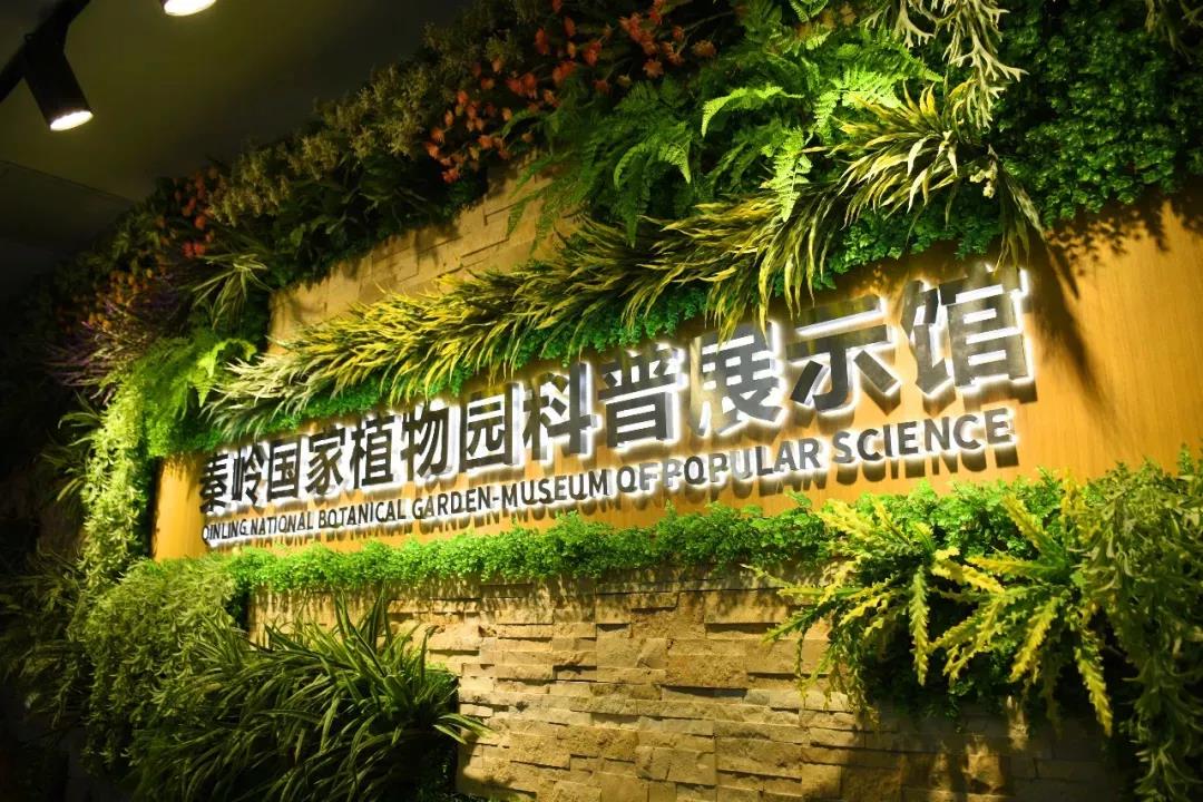 玄机科技人物_玄机科技_科技玄机科技拜年
