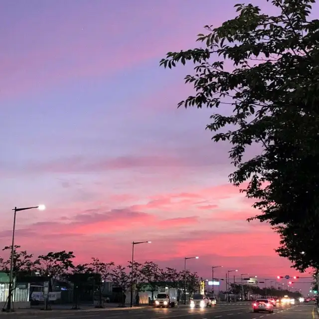 浅葱蓝_浅葱喵_浅葱
