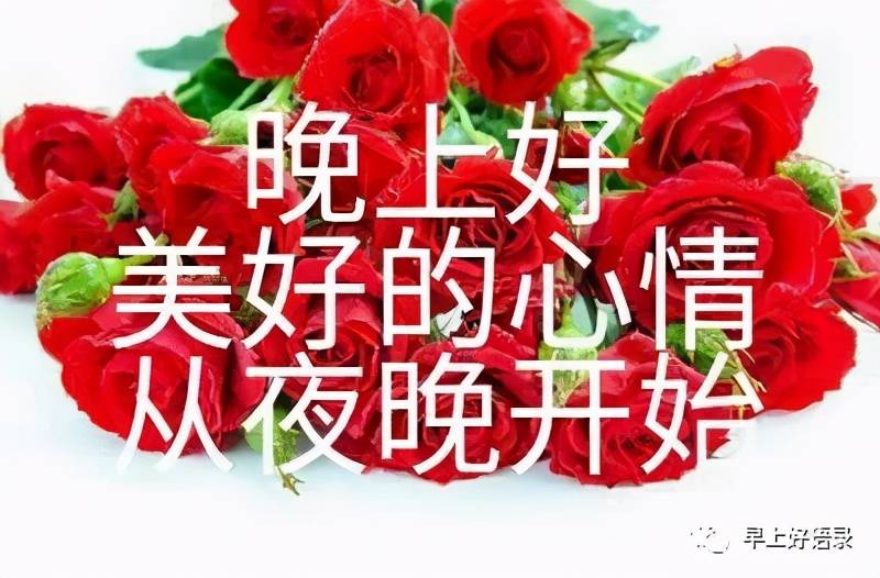 双月之夜_双月_双月骑士