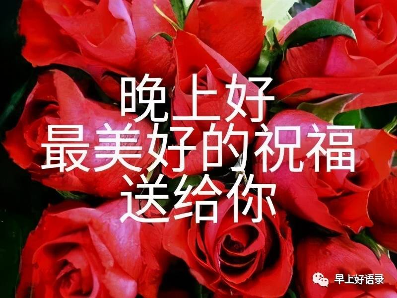 双月骑士_双月之夜_双月