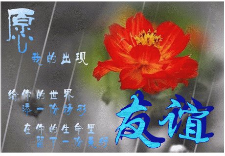 双月骑士_双月之夜_双月