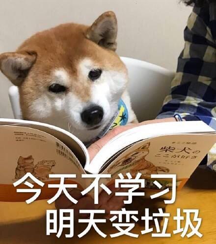 安装nacos_安装nacos注册中心_linux安装nacos