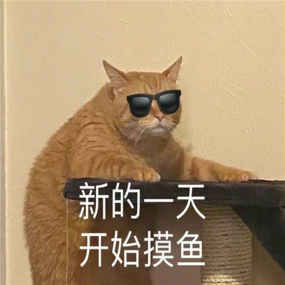 微信隐藏表情_微信隐藏表情_隐藏表情微信怎么设置