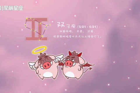 双子座月是几月_双子座是几月到几月_双子座在双子月