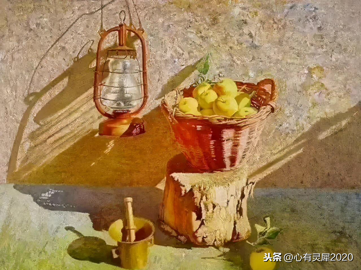 鸟白岛_鸟白岛_鸟白岛