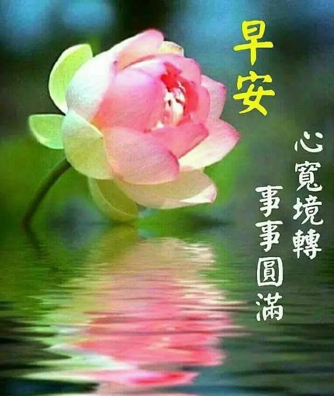 雪山兄弟_游戏雪山兄弟_雪山兄弟2