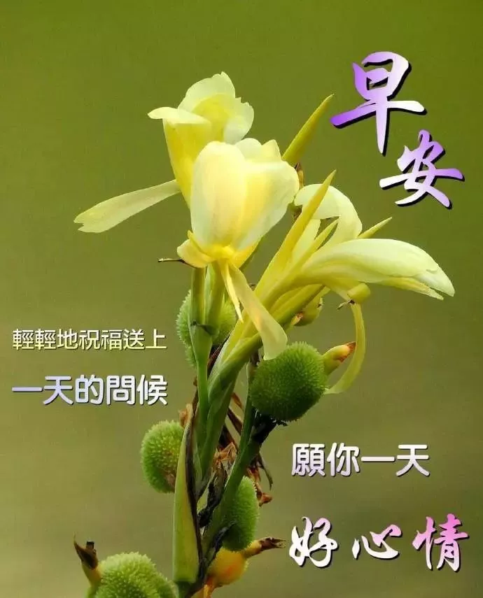 雪山兄弟_游戏雪山兄弟_雪山兄弟2