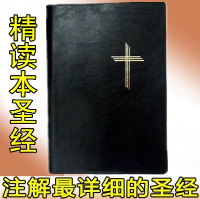 圣经电子版_圣经电子版百度网盘_圣经电子版在线阅读