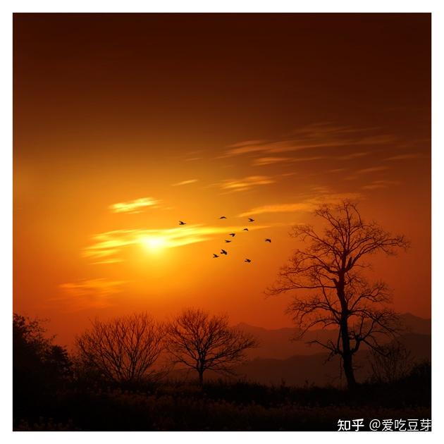小拳石_小拳石_小拳石