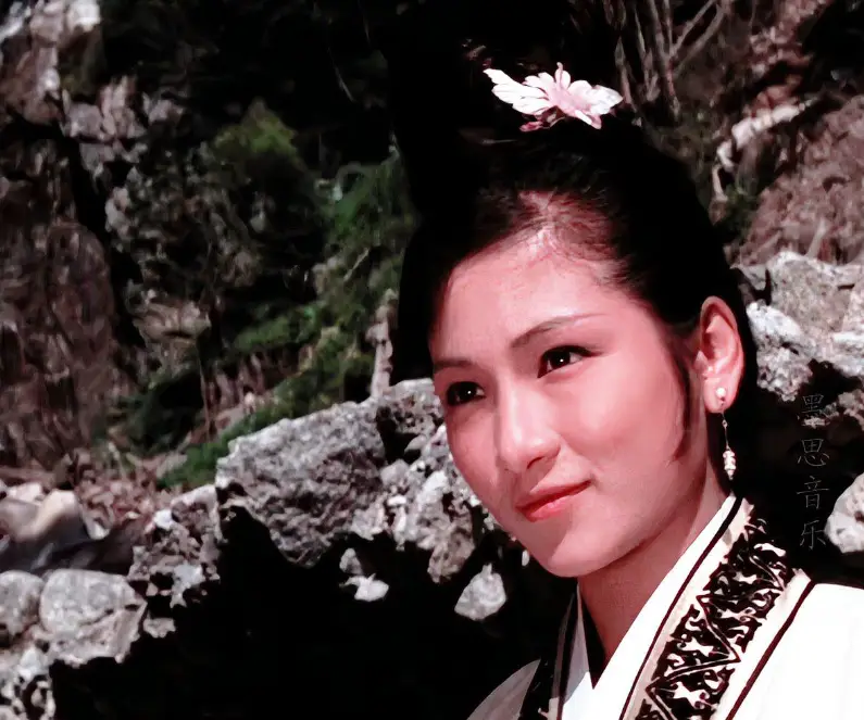 武侠电影在线观看免费观看_电影武侠_武侠电影主演明星