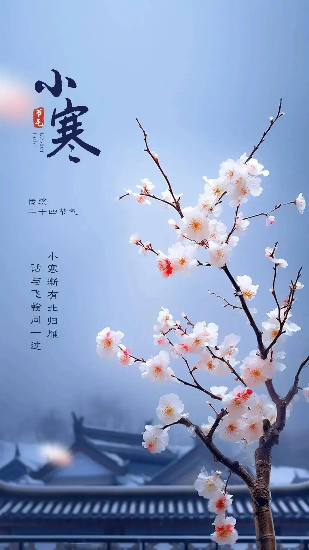 节气文案小寒怎么写_小寒节气配文_小寒节气的文案