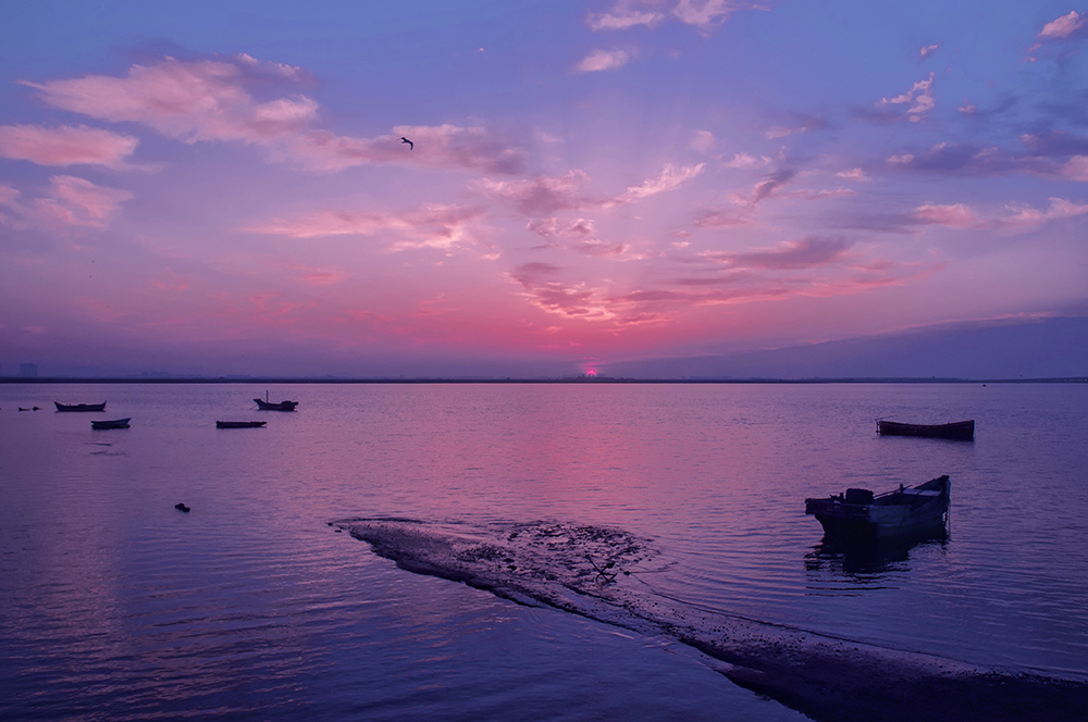 卯月夕颜七夕_卯月夕颜是女主的小说_卯月夕颜