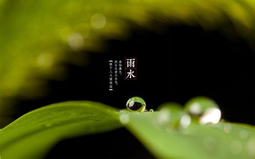 古诗春雨手机游戏怎么玩_春雨古诗手机游戏_古诗春雨杜甫