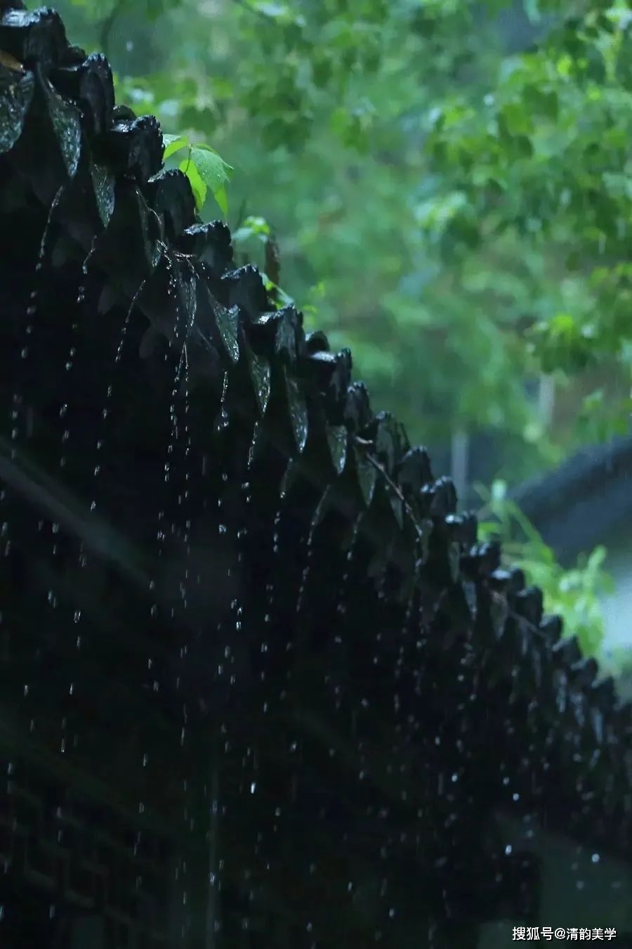 古诗春雨手机游戏怎么玩_古诗春雨杜甫_春雨古诗手机游戏