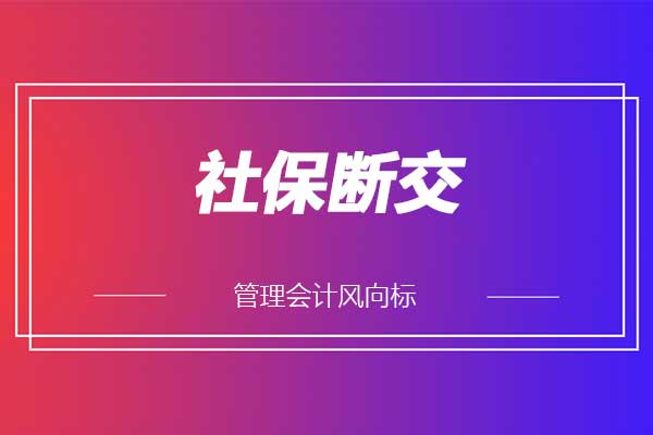 怎么下载个人所得税app-个人所得税 app：轻松搞定，跟上